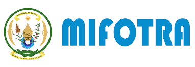 Job Positions at MIFOTRA 